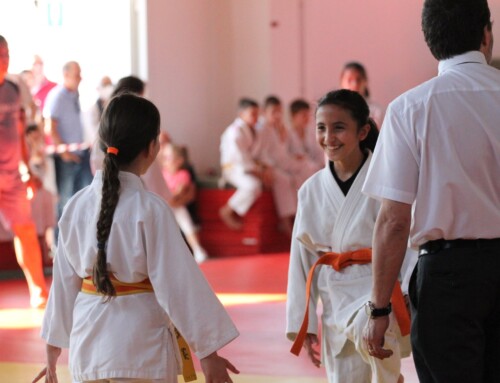Il calcio da strada e il judo da care system